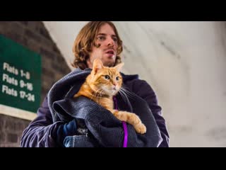 street cat named bob (2016) hd