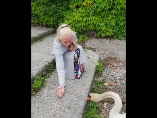 lola taylor feeding the swan small tits big ass